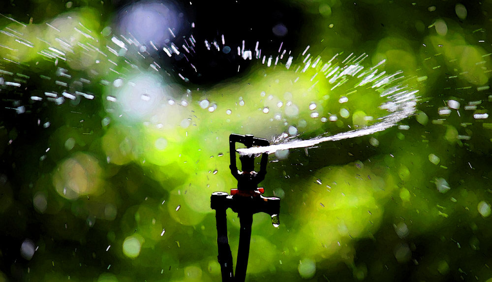 sprinkler
